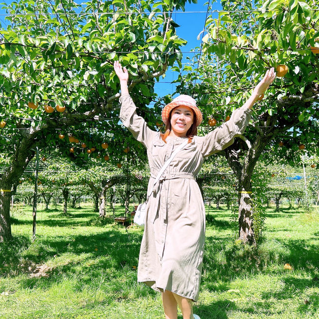 広島県　三原市　スマイル・ラボ・広島