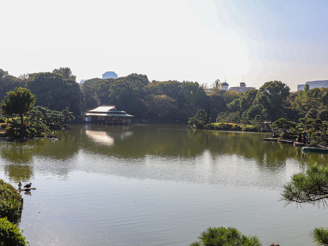 【東京都】 泉水と名石を残す緑豊かな庭園「清澄庭園」