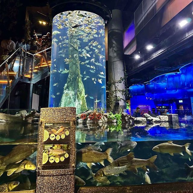 Aquaria KLCC: Must Visit Attraction! 🇲🇾✨