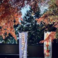 東京紅葉實況