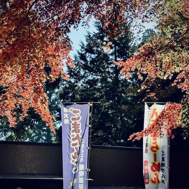 東京紅葉實況