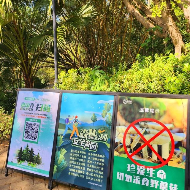都市中的綠洲🏕
