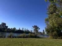 Lake Douglas, Swan Canning Riverpark😎📸🤩