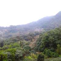 A Wonderful Day in MaoKong Taipei