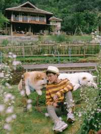Mori Natural Farm โมริ เนเชอรัลฟาร์ม เชียงใหม่ 