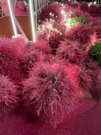 新年+情人節好去處:日本超人氣浪漫花田《地膚之森》
