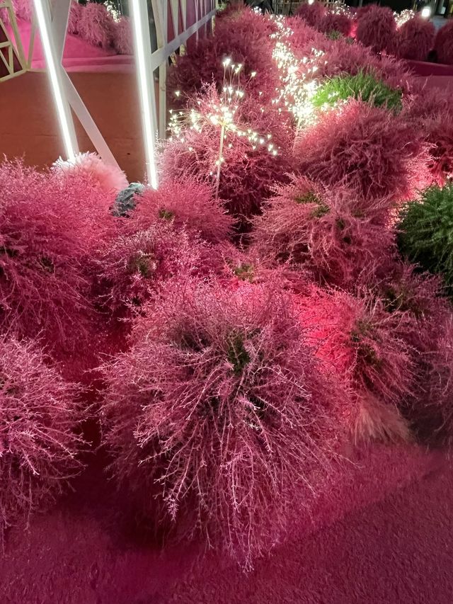 新年+情人節好去處:日本超人氣浪漫花田《地膚之森》 新年+情人節好去處:日本超人氣浪漫花田《地膚之森》