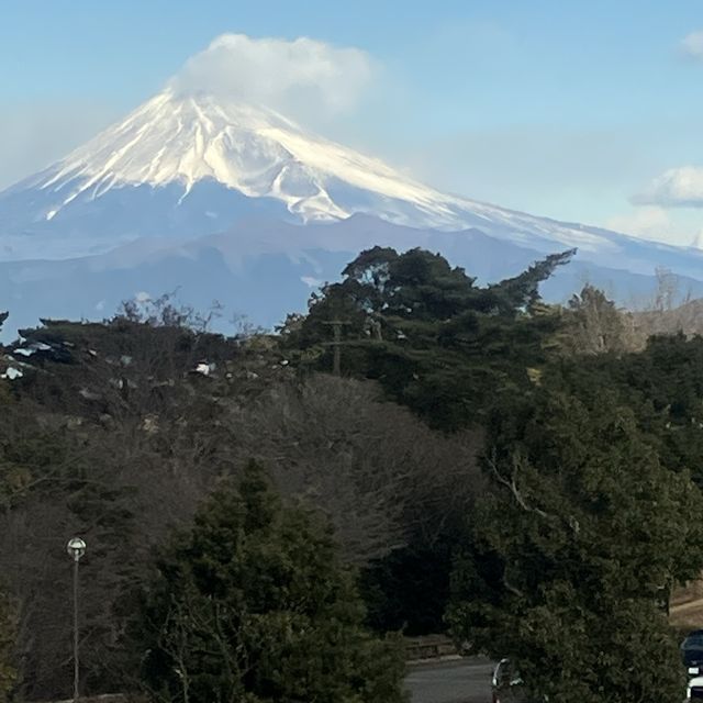 「伊豆マリオットホテル修善寺」