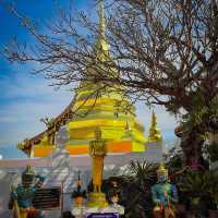 วัดพระธาตุปูแจ พระธาตุคู่บ้านคู่เมือง ร้องกวาง 