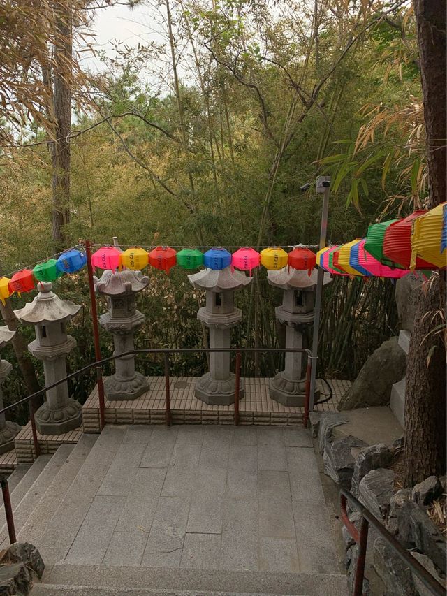 부산 기장 바다 옆에 있는 멋진뷰의 사찰🏮 [부산_해동용궁사]