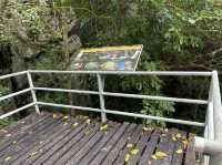 ทะเลใน อันซีน เกาะแม่เกาะ