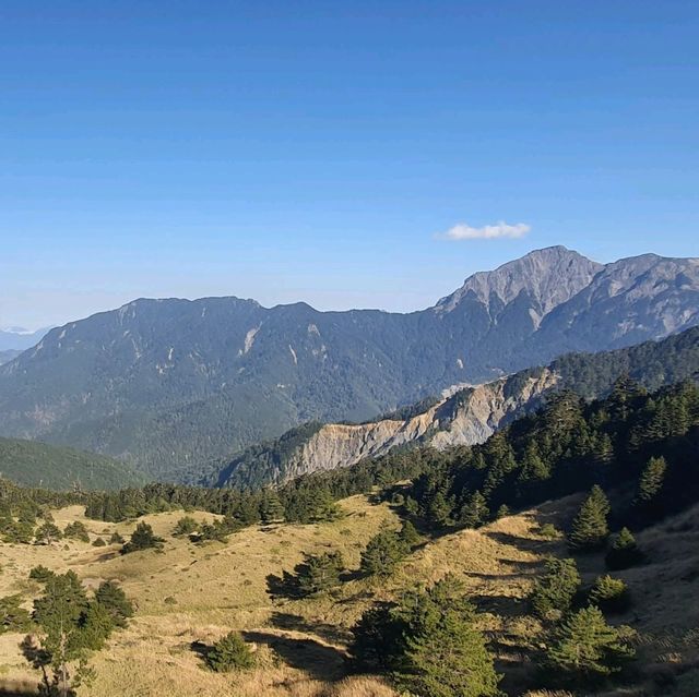 一覽高山遠景【合歡山國家森林公園】