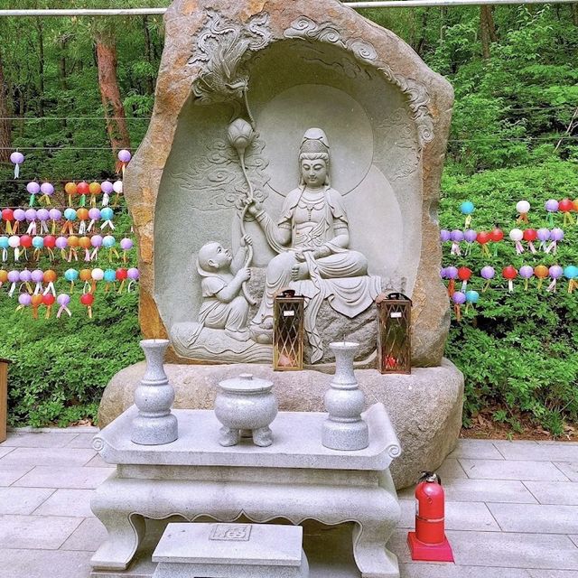 백운사 백번도 오고싶은 절👏🏻