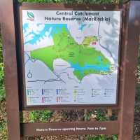 Hiking at Macritchie Nature Trail