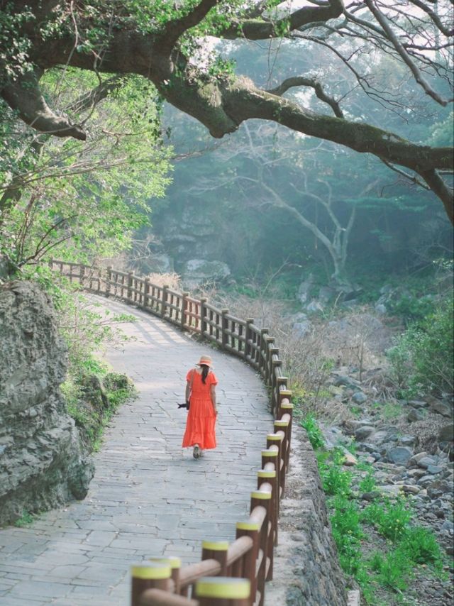 3월제주 필수코스 . 안갈수가 없는곳 ~!!!  안덕계곡