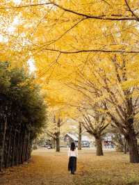 Showa Memorial Park in autumn 🍁🇯🇵