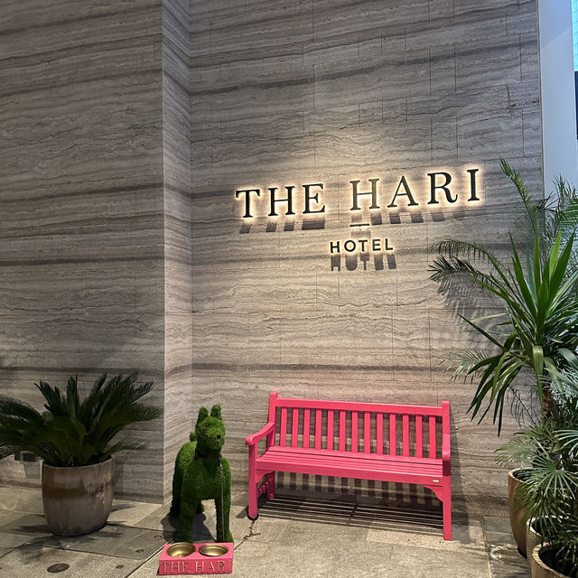 灣仔Hari hotel visit~