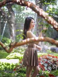 แน่ใจนะว่าคาเฟ่ นึกว่าอยู่ในป่า ธรรมชาติมาก