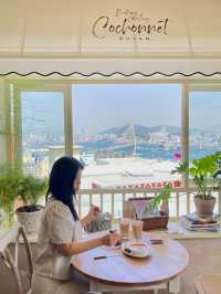 부산 신상 핫플카페