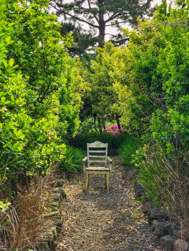 서귀포 사계절 꽃동산, 현애원🌸🌺