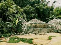 ถ้ำหลวง-ขุนน้ำนางนอน จ. เชียงราย