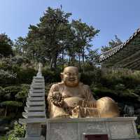 釜山大江大海的海東龍宮寺🐲🐉