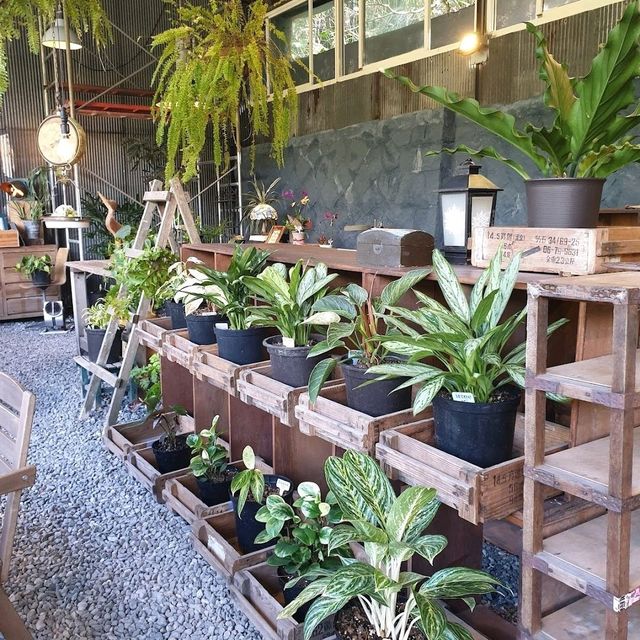 美麗的花園咖啡廳☕