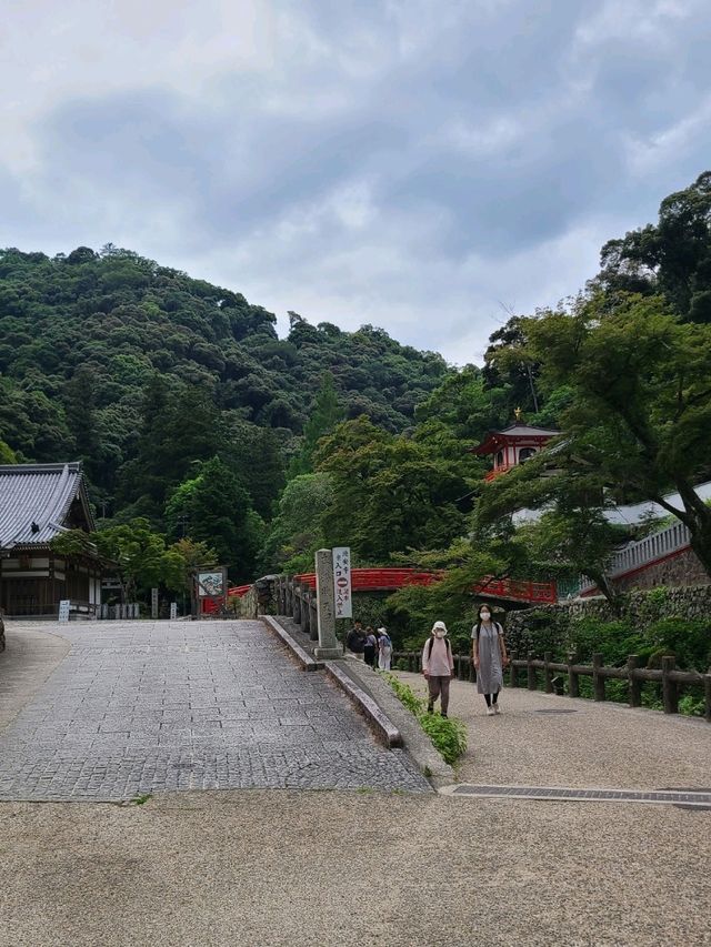 【大阪】滝道を散策をしよう