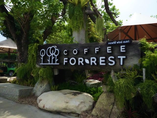 Coffee ForRest คาเฟ่เปิดใหม่ ถูกใจคนรักธรรมชาติ 🍃