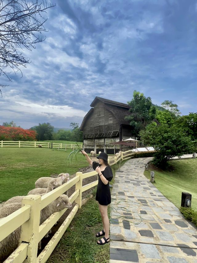 พรีโม เพียซซ่า Primo Piazza เขาใหญ่ 🌿