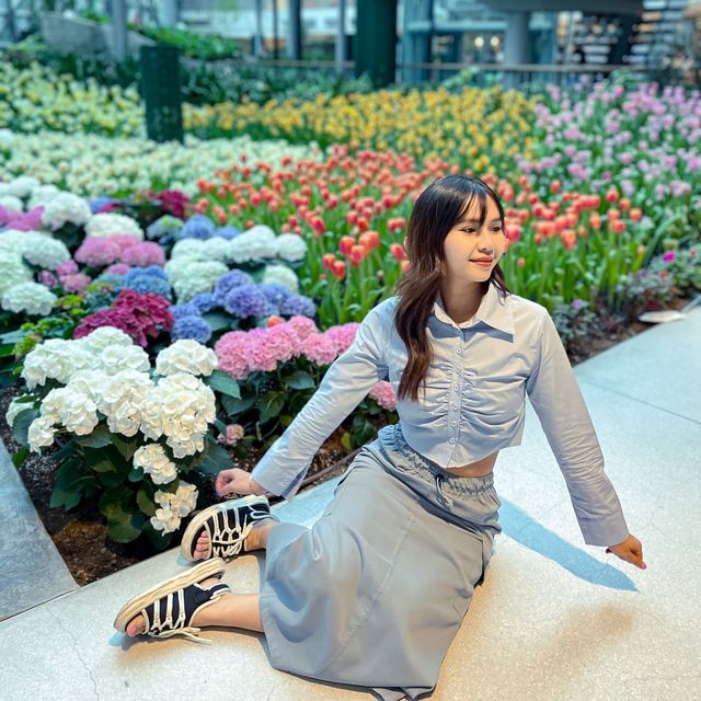 🌷ดอกทิวลิปบานที่ระยอง 🌷