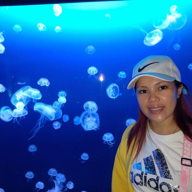 広島　マリホ水族館