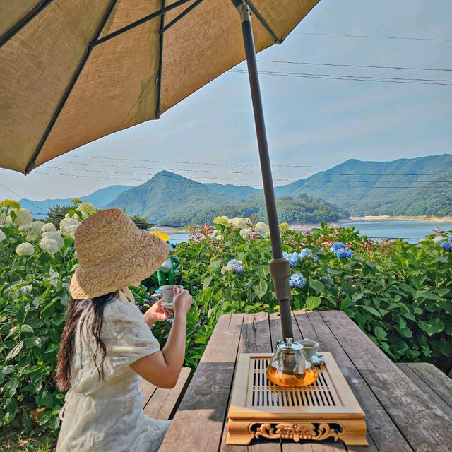 충주 호수와 수국을 함께 볼 수 있는 카페 수국여울찻집