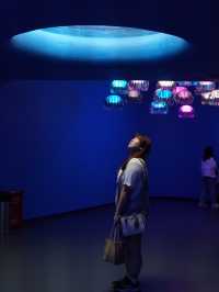親子週末好去處｜歡樂海岸海洋奇夢館🌊