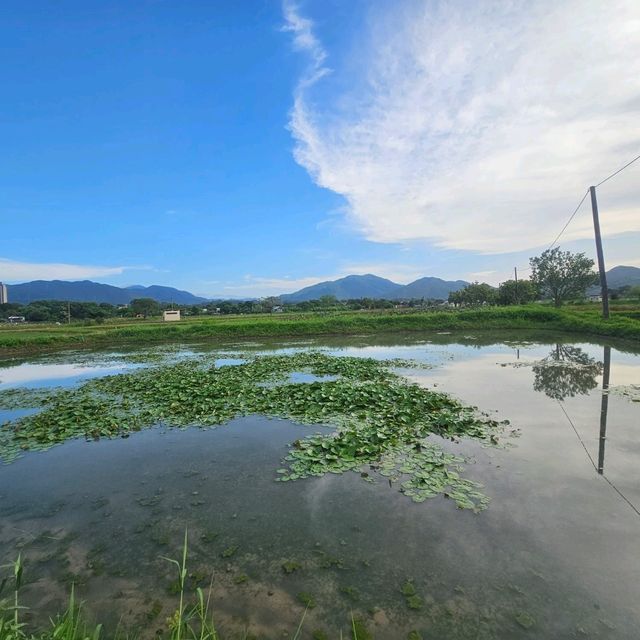 極具保育價值嘅塱原自然生態公園之生態區