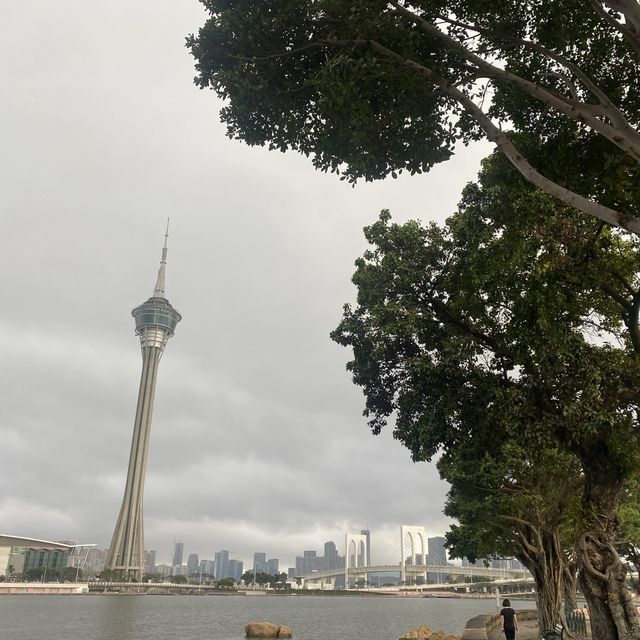 喧囂都市中的神秘寶石—澳門的「南灣湖」