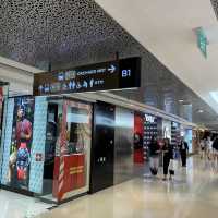 Huge shopping mall in Orchard: Ion Orchard 