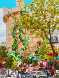 Magical Experience At Universal Studios!