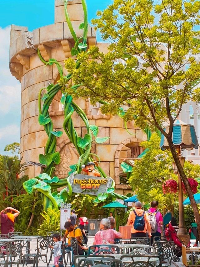 Magical Experience At Universal Studios!