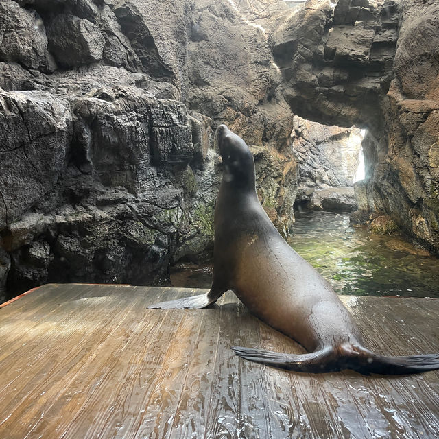 大阪海遊館
