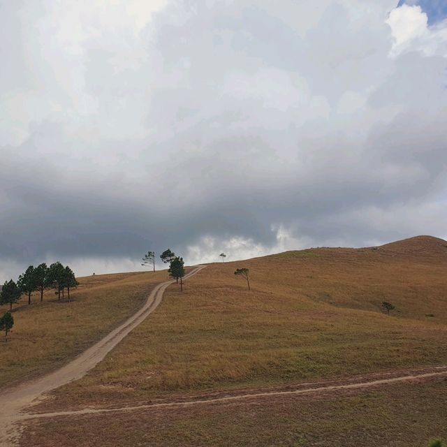 Phuong Hoang Hills