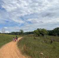 เที่ยวเขาใหญ่ ขึ้นหอดูสัตว์ และเดินศึกษาธรรมชาติ
