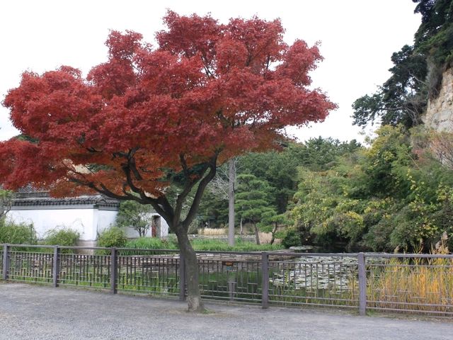 Best Autumn Garden must visit