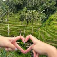 Cretya Ubud, Bali