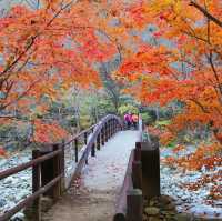 Beautiful autumn view of Odaesan NationalPark