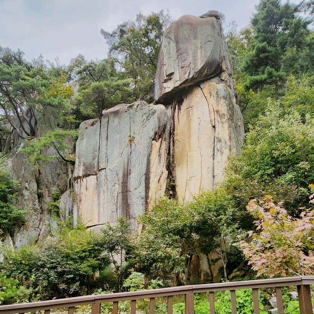 폐채석장이 자연과 예술이 함께하는 힐링의 명소로🏞