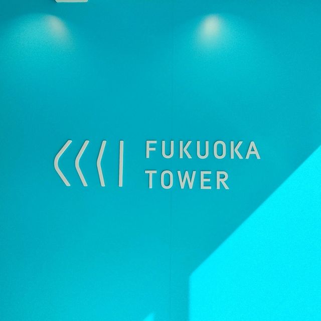 【福岡】福岡おすすめ観光スポット✨福岡タワー