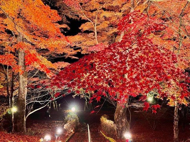 อัพเดตใบไม้เปลี่ยนสี มองเห็นวิวฟูจิกันค่ะ 🍂