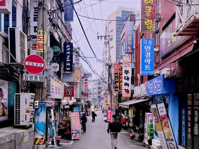 Explore a day in Gwangjang Market 