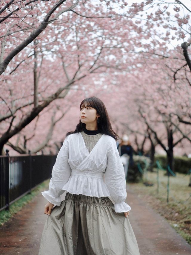 伊豆🇯🇵河津櫻· 最早的櫻花！🌸千萬不能錯過！